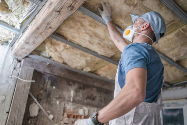 Best Best Insulation Companies  in North Merritt Island, FL